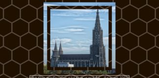 இந்திய அரசியலில் வேடிகன் & கத்தோலிக்க திருச்சபையின் பங்கு 1950 முதல் இந்திய அரசியலில் வேடிகன் மற்றும் கத்தோலிக்க திருச்சபையினரின் தலையீடு