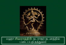 மஹா சிவராத்திரி: நடராஜர் நடனத்தில் படைப்புத் தத்துவம் சிவராத்திரி என்றால் என்ன? தினந்தோறும் பகல் மடங்கியபின், உயிர்களை உறங்கவைக்கும் இரவாக வருவது நித்ய சிவராத்திரி எனப்படும்